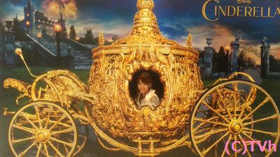 IMG_20150514_1.jpg