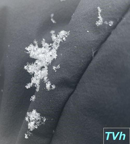リサイズ雪の結晶.jpg