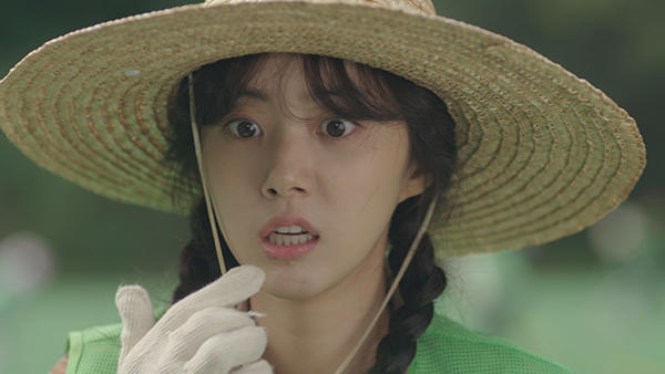 魔女たちの楽園 : 最新オンエア情報