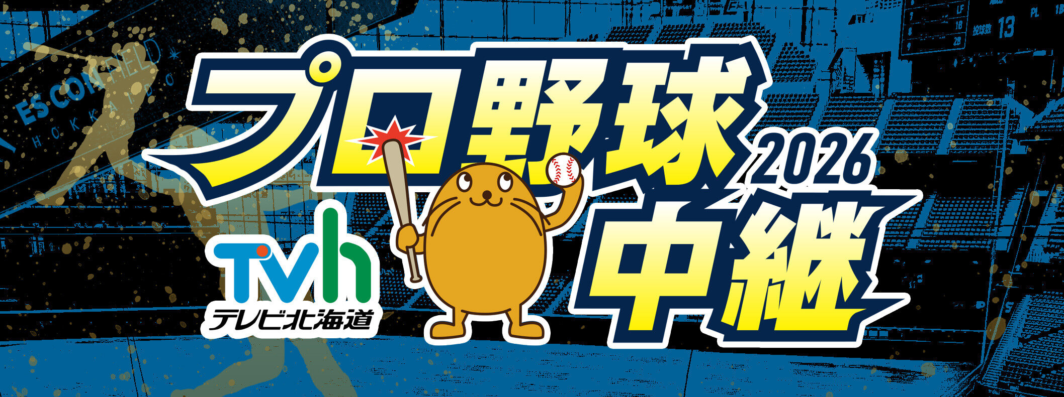 TVhプロ野球中継