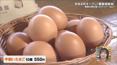 卵５00000000.jpg