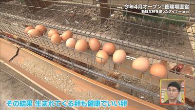 卵２00000000.jpg