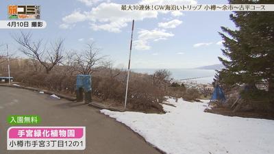 05temiyasyokubutsuen1_R.jpg