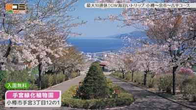 05temiyasyokubutsuen2_R.jpg