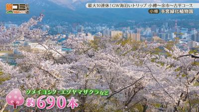 05temiyasyokubutsuen3_R.jpg