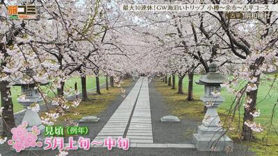 07meiwajinjya4_R.jpg