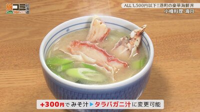 1_kurage_5_R.jpg
