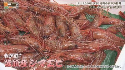 4_sankaiko_3_R.jpg
