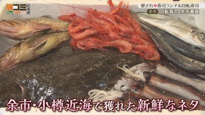 3_yoichi_3_R.jpg