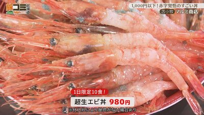 4_marumi_4_R.jpg