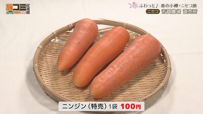 4_haganojo_3_R.jpg
