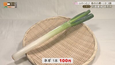 4_haganojo_4_R.jpg
