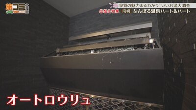 5_nanporo_3_R.jpg