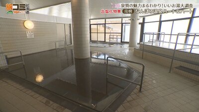 5_nanporo_4_R.jpg