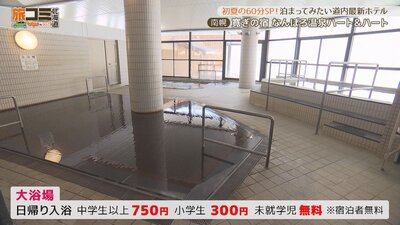 6_nanporo_3_R.jpg