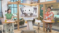7月19日【リレーマラソン会場から生中継！】画像
