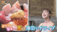 8月9日【グルメも温泉も！夏の海沿いドライブ】画像