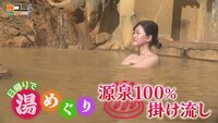 8月30日【日帰りで湯めぐり！源泉100％掛け流し】画像