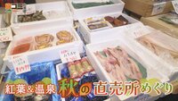 10月11日【紅葉＆温泉　秋の直売所めぐり】画像