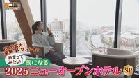 11月29日【泊まってみたい！気になる２０２５ニューオープンホテルSP】画像