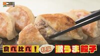 2月14日【食べ比べ！札幌 激うま餃子】画像