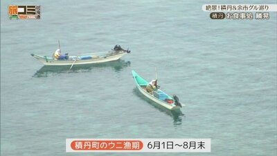 2_rinkou_5.jpg