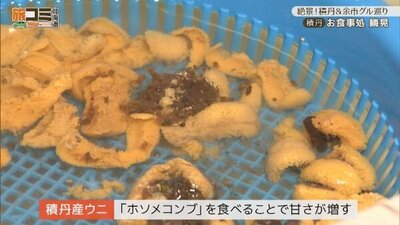 2_rinkou_6.jpg