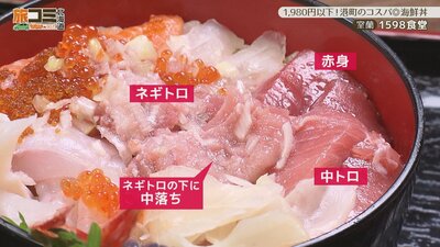 4_1598_4.jpg