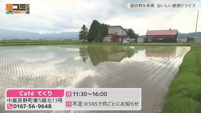 5_tekuri_1.jpg