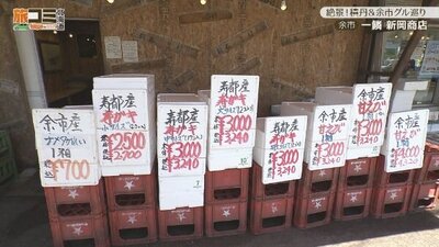 6_niioka_2.jpg
