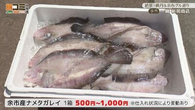 6_niioka_4.jpg