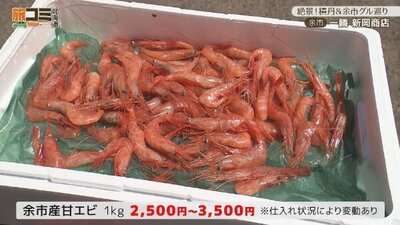 6_niioka_5.jpg
