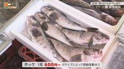 6_niioka_6.jpg