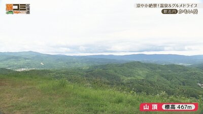 1_kamoi_2.jpg