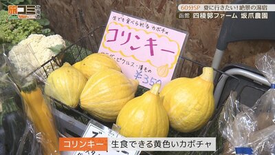 2_siryoukaku_2.jpg