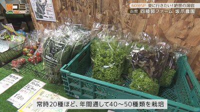 2_siryoukaku_3.jpg