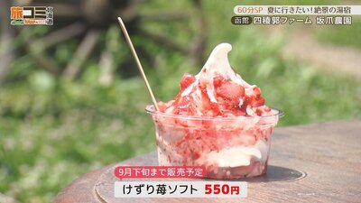 2_siryoukaku_4.jpg