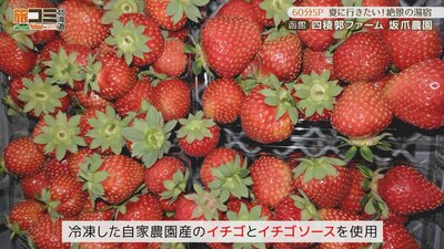 2_siryoukaku_5.jpg