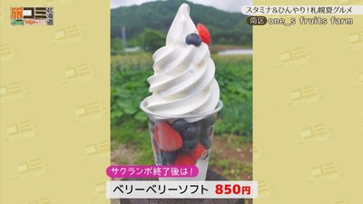4_fruitsfarm_6.jpg