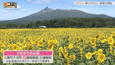 4_himawari_1.jpg