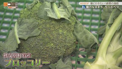 6_chippubetsu_2.jpg