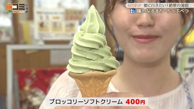 6_chippubetsu_6.jpg