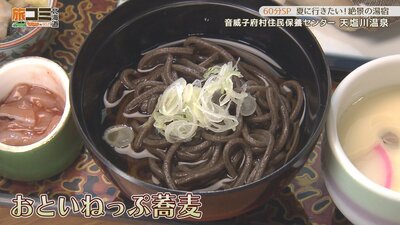7_tesiogawa_6.jpg