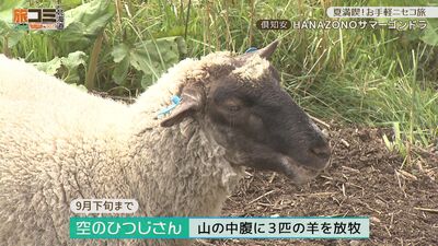 1_hanazono_3.jpg