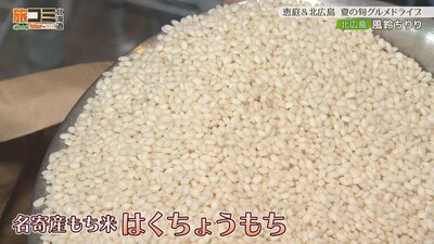 1_mochi_3.jpg