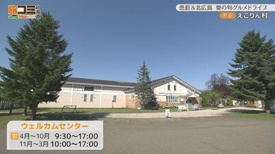 4_ekorin_4.jpg