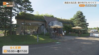 4_ekorin_5.jpg
