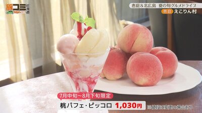4_ekorin_6.jpg