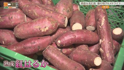 6_imoimo_3.jpg