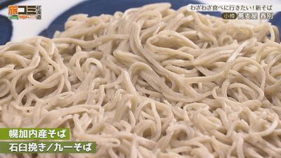 3_shunbetsu_4.jpg